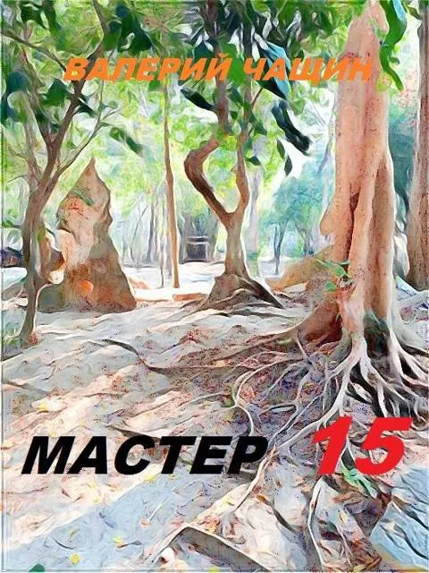 Мастер 15