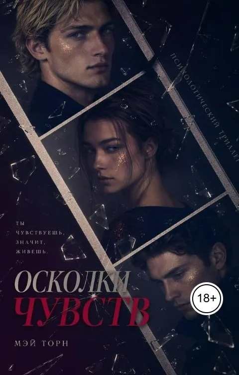 Осколки чувств